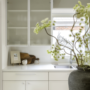 A vase with a plant in it sitting on a white kitchen counter